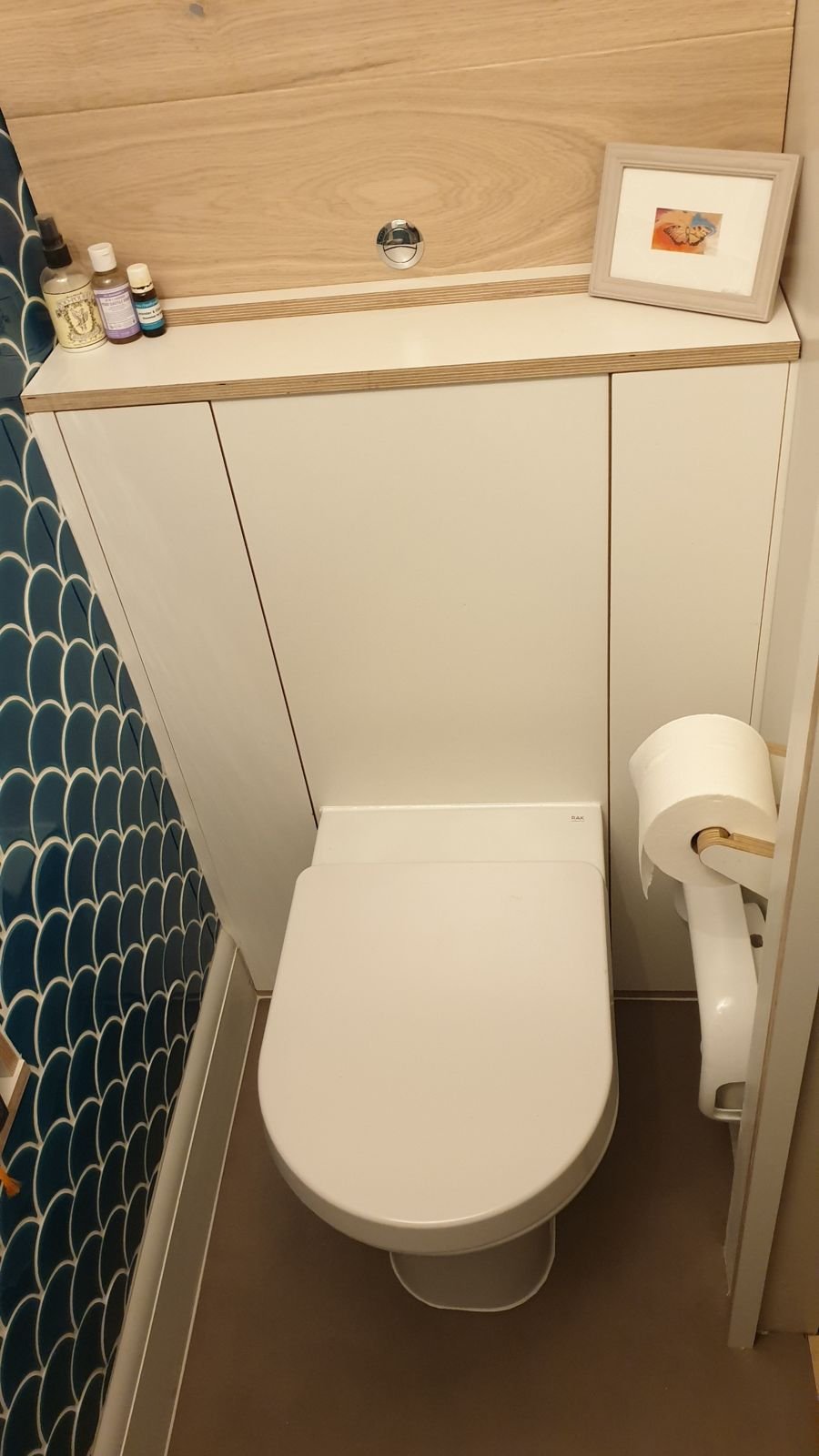 Downstairs toilet cupboard